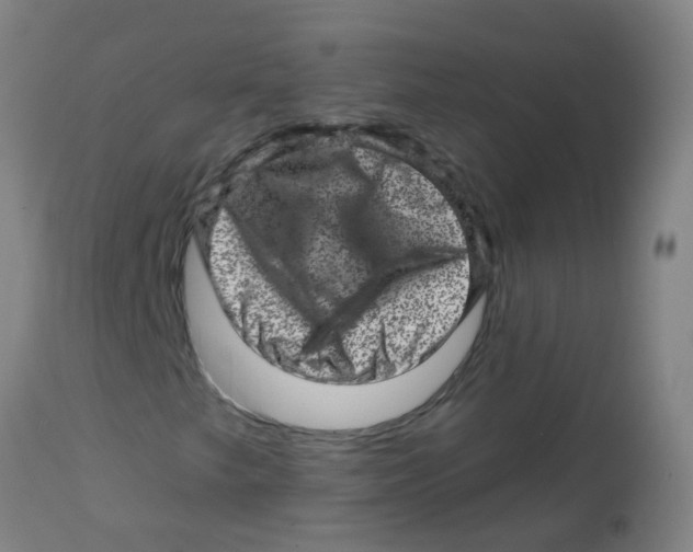 X0000113861249200910221433