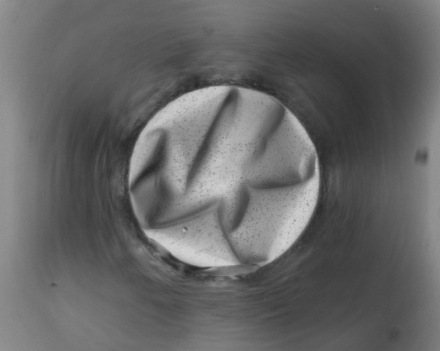 X0000113861250200910221433