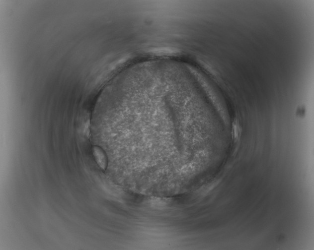 X0000113861251200910221433