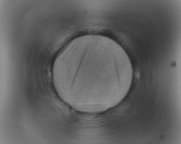 X0000113861252200910221433