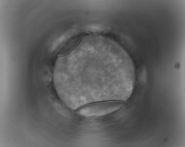 X0000113861253200910221433