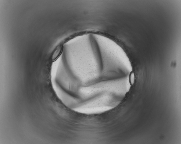 X0000113861256200910221433