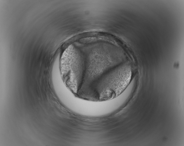 X0000113861257200910221433