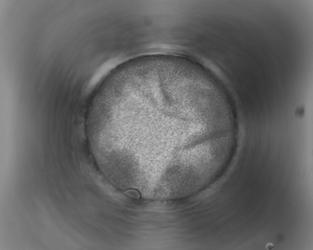 X0000113861259200910221433