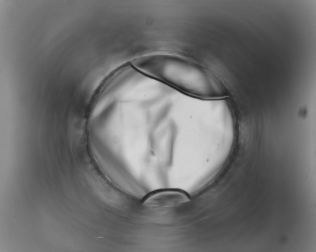 X0000113861260200910221433