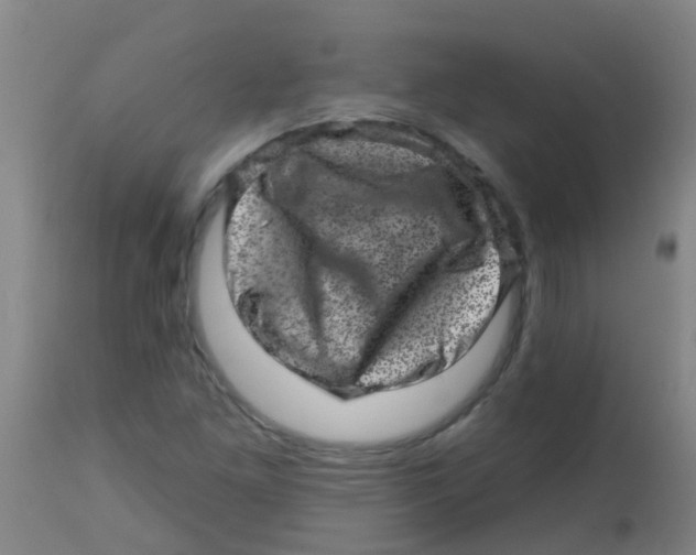 X0000113861261200910221433