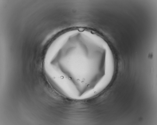X0000113861262200910221433