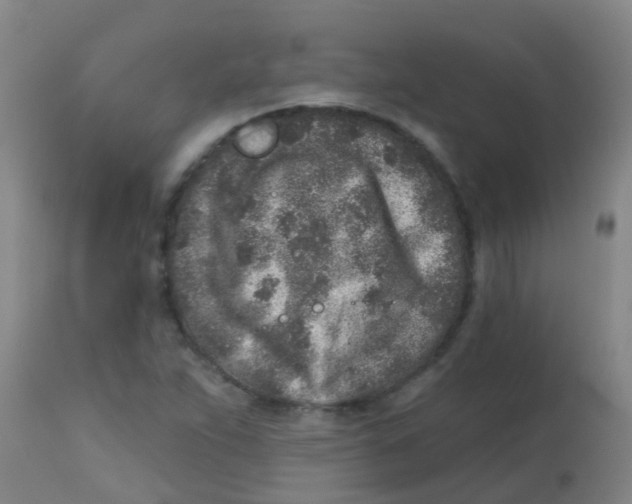 X0000113861263200910221433