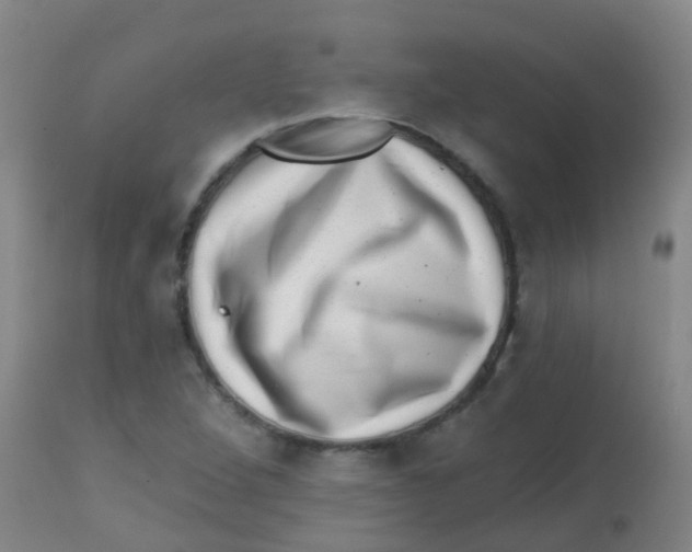 X0000113861264200910221433