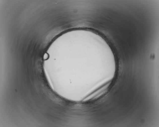 X0000113861265200910221433