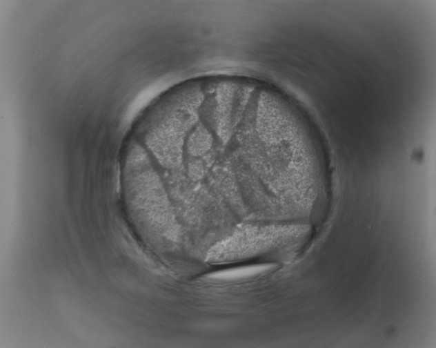 X0000113861267200910221433