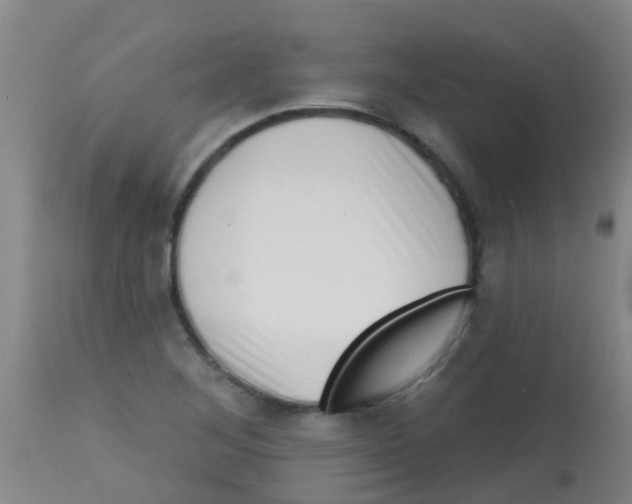 X0000113861268200910221433