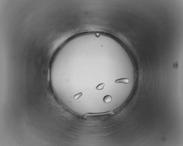 X0000113861269200910221433