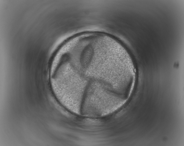 X0000113861270200910221433