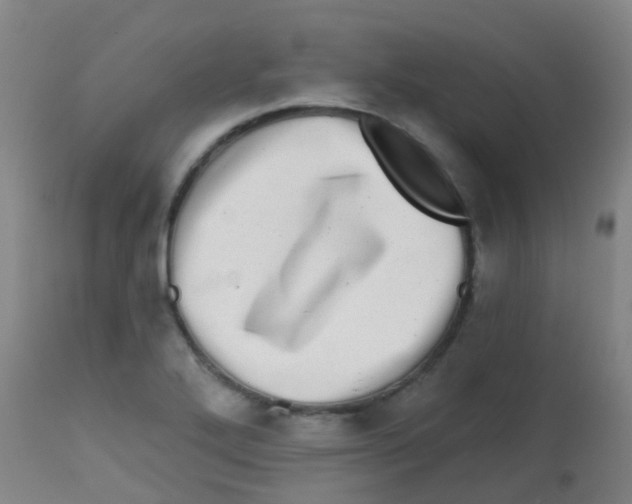 X0000113861272200910221433