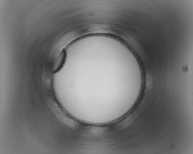 X0000113861273200910221433