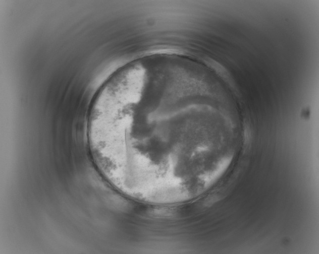 X0000113861274200910221433
