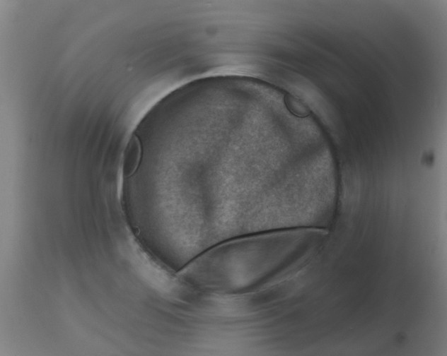 X0000113861276200910221433