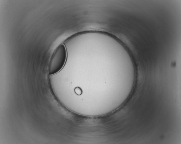 X0000113861277200910221433