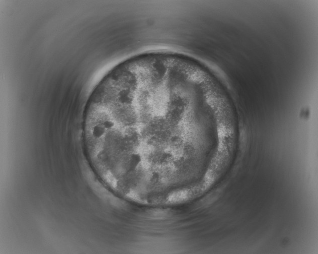 X0000113861279200910221433