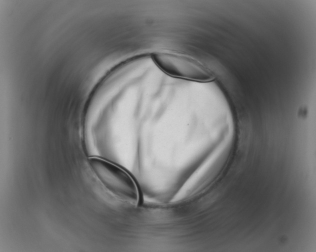 X0000113861280200910221433
