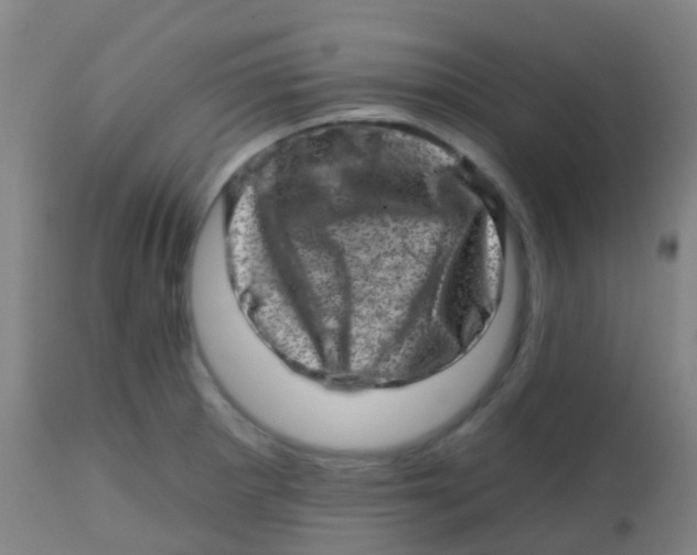 X0000113861281200910221433