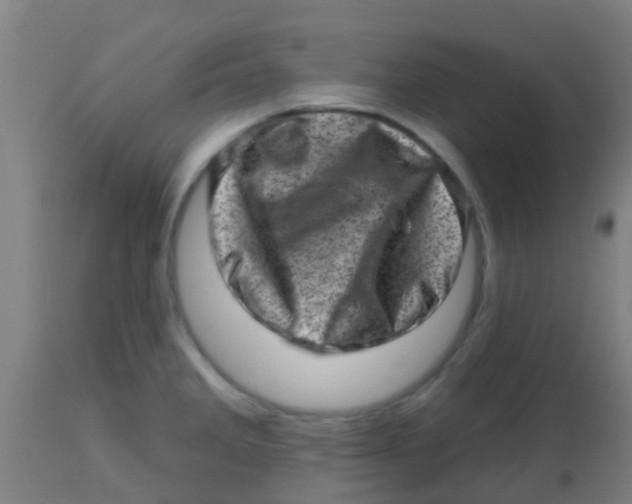 X0000113861285200910221433