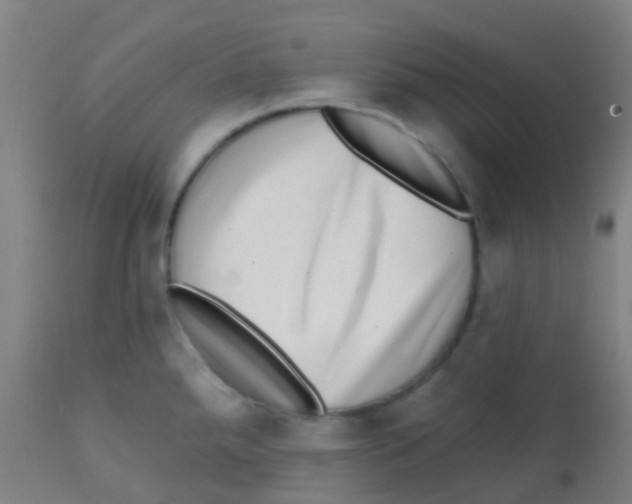 X0000113861288200910221433