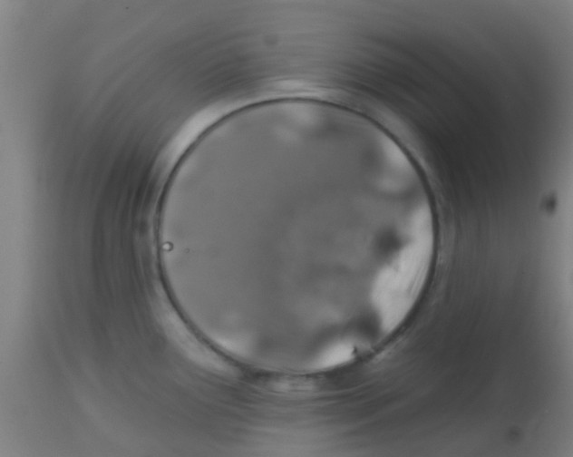 X0000113861291200910221433