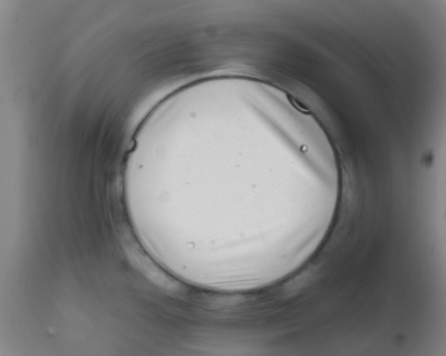 X0000113861292200910221433