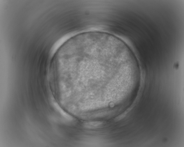 X0000113861294200910221433