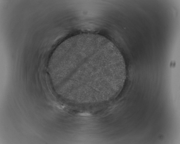 X0000113861297200910221432