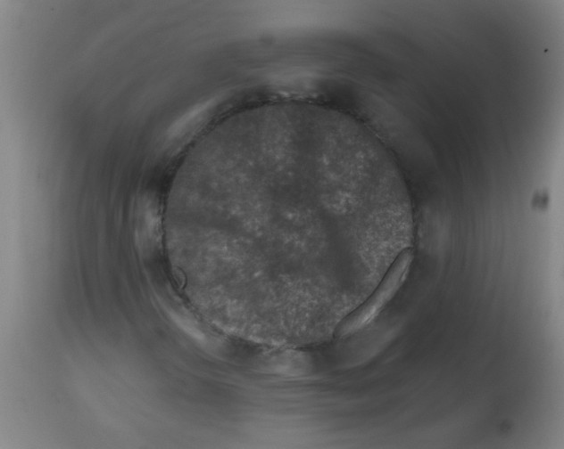 X0000113861298200910221432