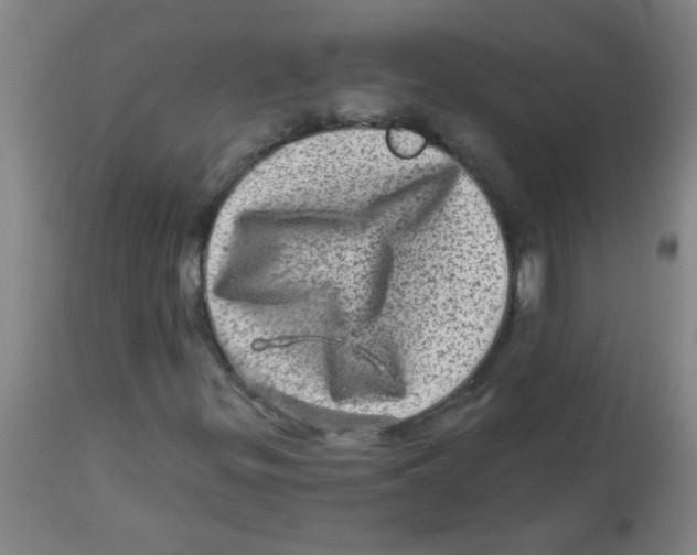X0000113861299200910221432