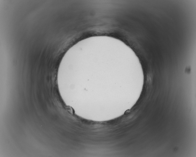 X0000113861300200910221432
