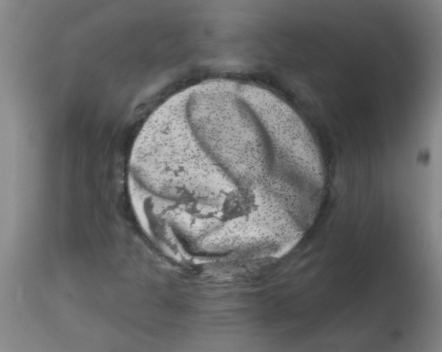 X0000113861301200910221432