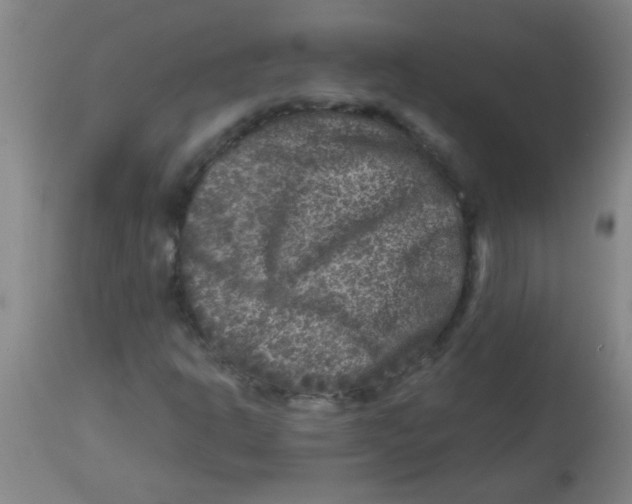 X0000113861302200910221432