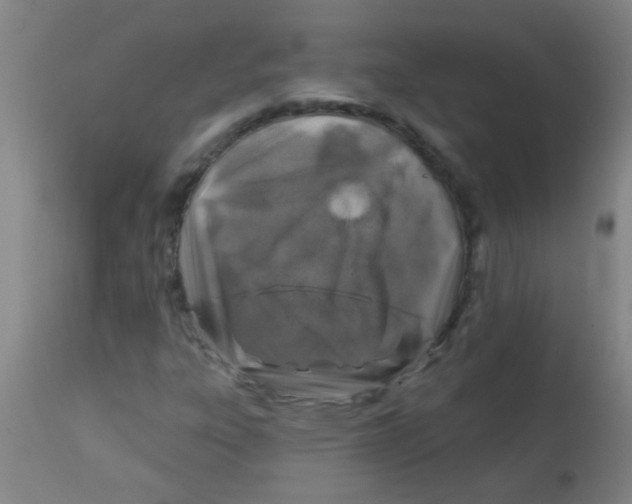 X0000113861303200910221432