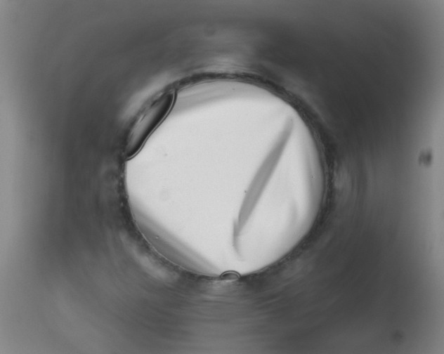 X0000113861304200910221432