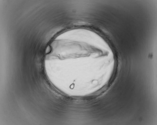 X0000113861305200910221432