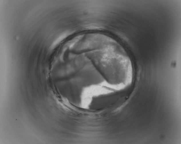 X0000113861306200910221432