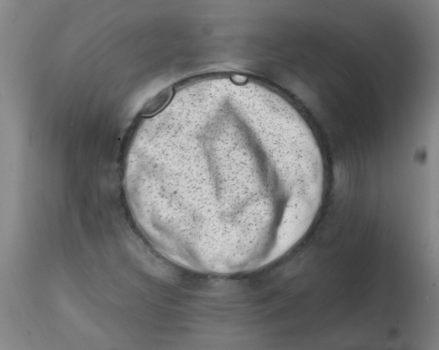 X0000113861308200910221432