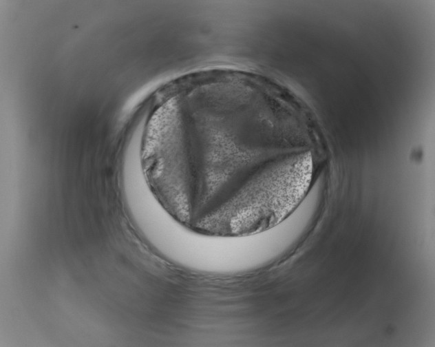 X0000113861310200910221432