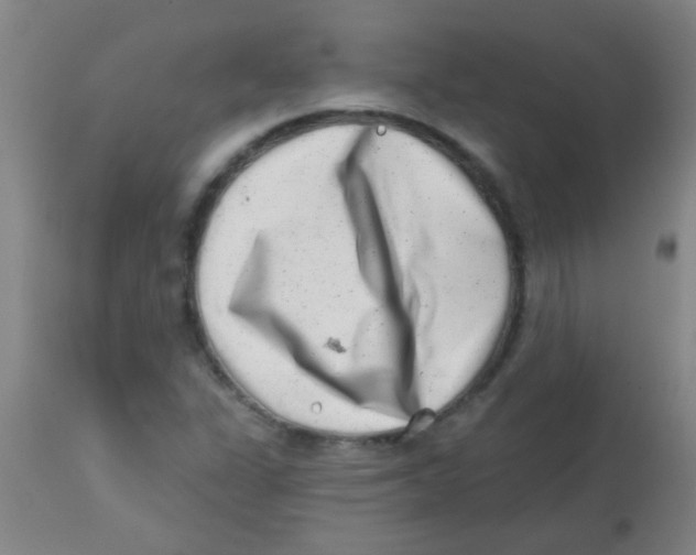 X0000113861311200910221432