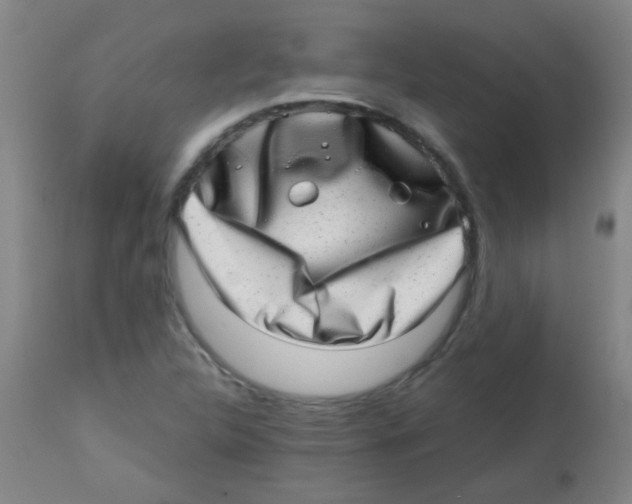 X0000113861312200910221432