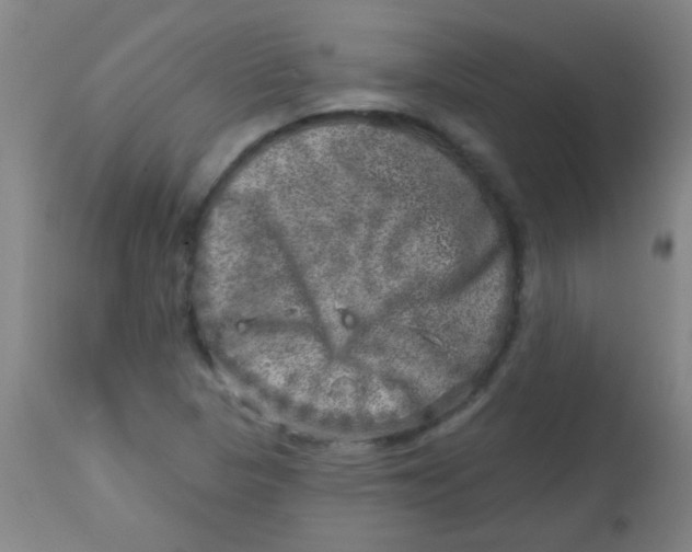 X0000113861313200910221432