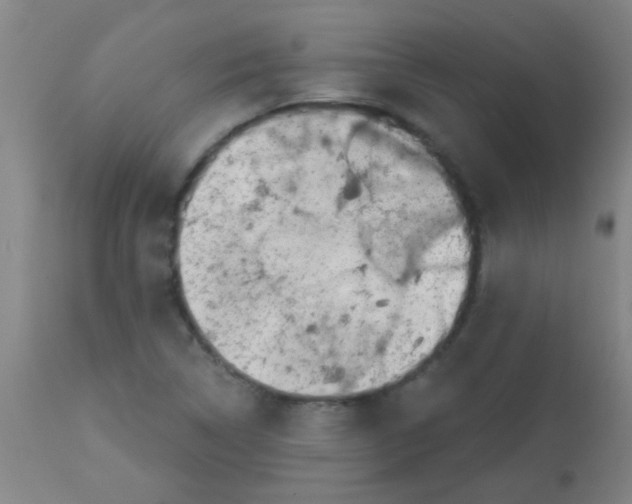 X0000113861314200910221432