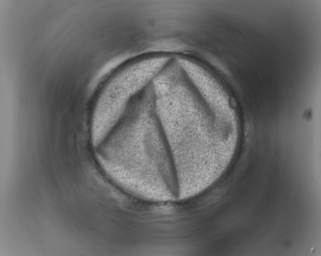 X0000113861315200910221432