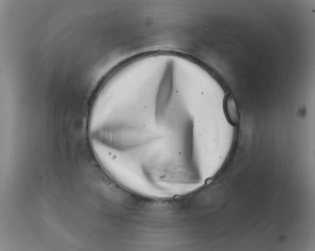 X0000113861316200910221432