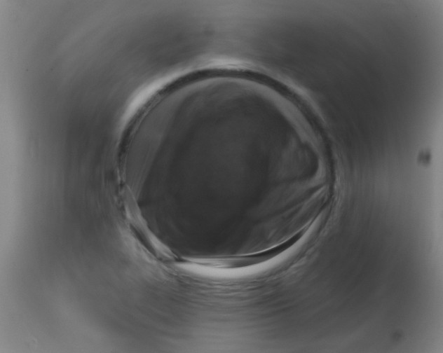 X0000113861319200910221432